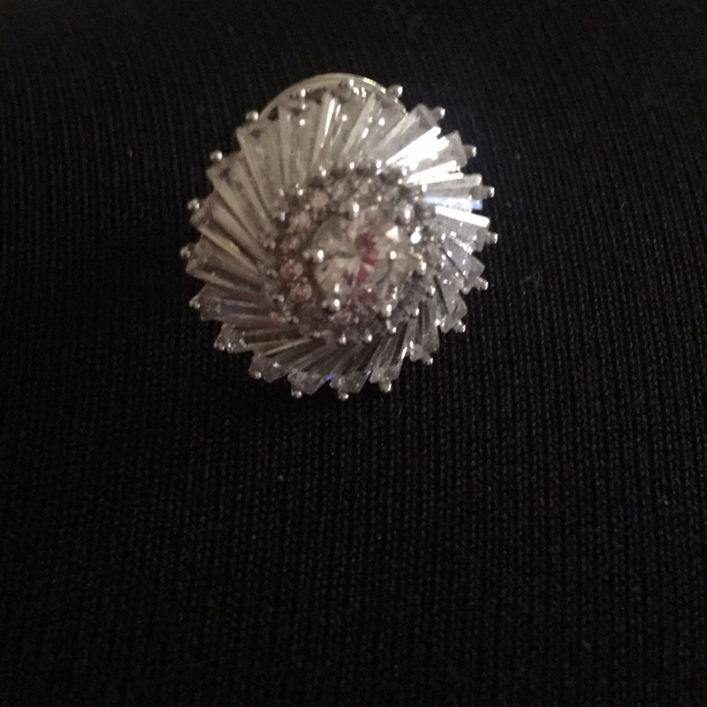 Beautiful Sparkle collar pin